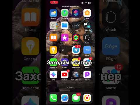 ios免费入口nba